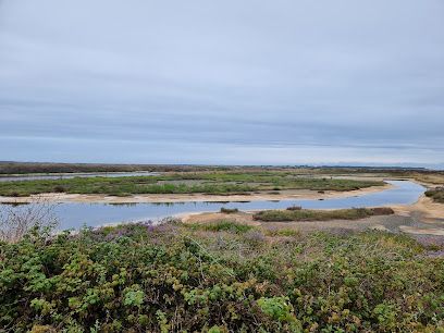 Activité : Canoë Salé - Balade en canoë à Loix