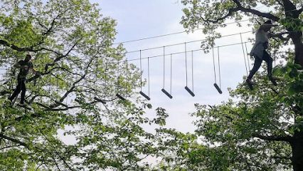 Activité : Parc Aventure du Thureau - AB Loisirs - Auxerre - Yonne (Accrobranche, ...)