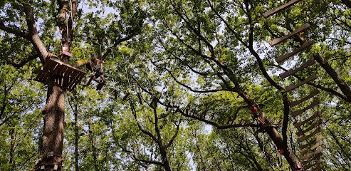 Activité : Parc Aventure des Châtelaines - AB Loisirs - Yonne - Bourgogne - Morvan