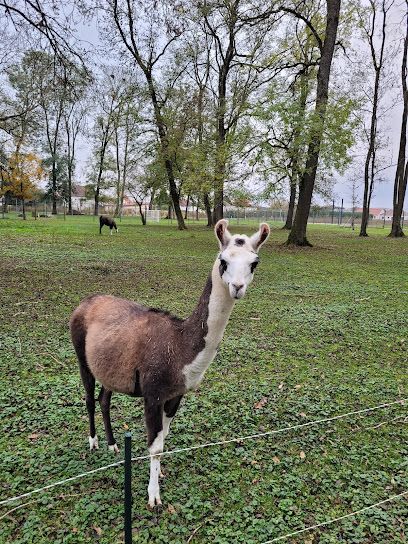 Activité : Parc animalier des Vernaux