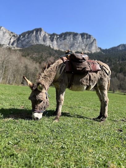 Activité : La Ferme des Genti'Ânes