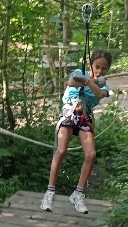 Activité : Yapluka Park, votre parc accrobranche à 30 minutes de Lyon