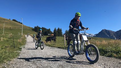 Activité : LE VELOCISTE / Trott en Stock