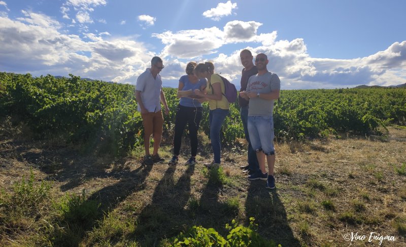 Activité : VINO ENIGMA - ESCAPE GAME DANS LES VIGNES