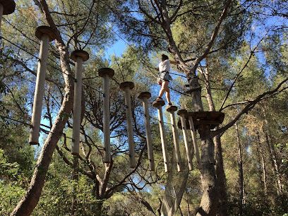 Activité : PASTRE AVENTURE