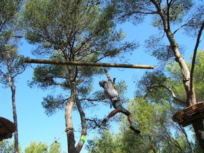 Activité : Le Royaume des Arbres - Charleval