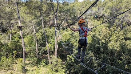 Activité : Le Royaume des Arbres - Le Castellet