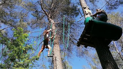 Activité : Flay'Forest