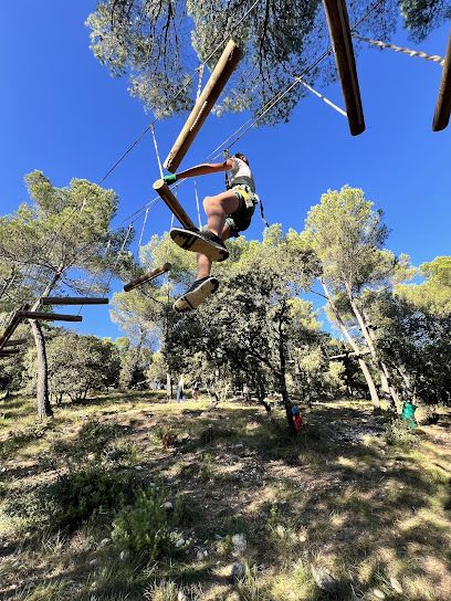 Activité : Forest Sensation