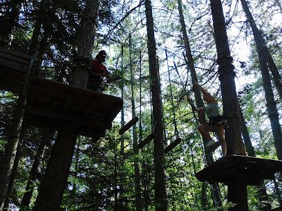 Activité : Jungle Laye