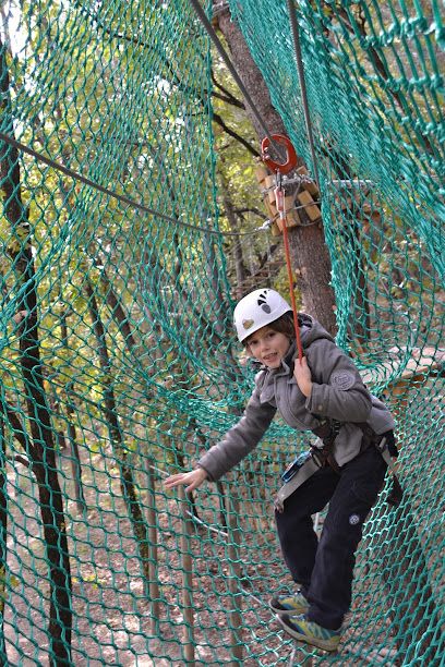 Activité : Joncas Aventure