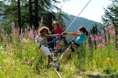 Activité : Sensations Mélèzes Parcours Aventure en forêt