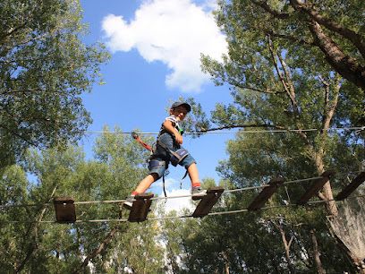 Activité : Jungle parc
