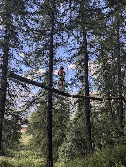 Activité : Forêt Sensations