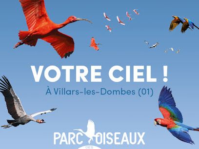 Activité : Parc des Oiseaux