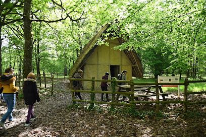 Activité : Domaine des druides