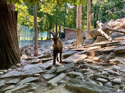 Activité : Parc aux animaux du Bois-de-la-Bâtie