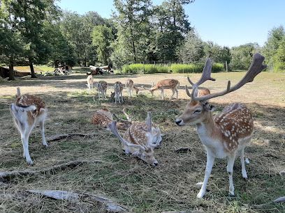 Activité : Parc Animalier des Dronières