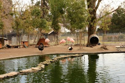 Activité : Parc Animalier