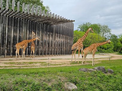 Activité : La Plaine Africaine