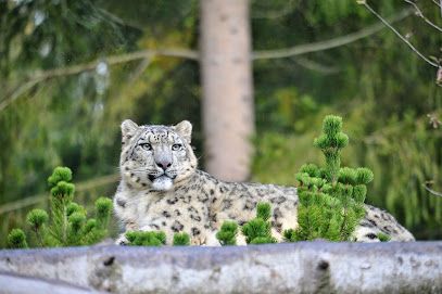 Activité : Zoo de Servion