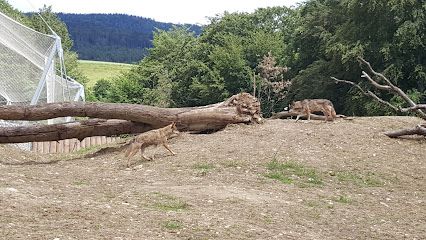 Activité : La Garenne