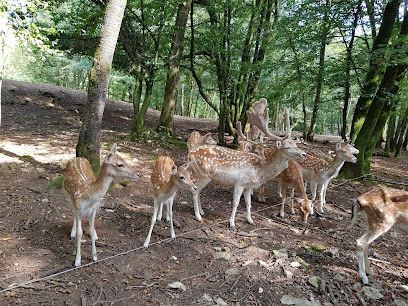 Activité : Parc animalier Chailluz Besançon