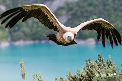 Activité : Parc Animalier de Serre-Ponçon