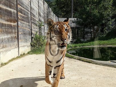 Activité : SIKYPARK