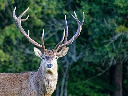 Activité : La Ferme aux Cerfs