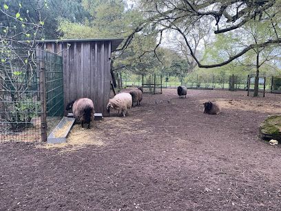Activité : Les animaux du parc bordelais