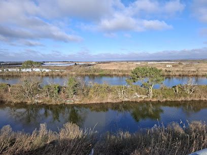 Activité : Réserve Ornithologique du Teich
