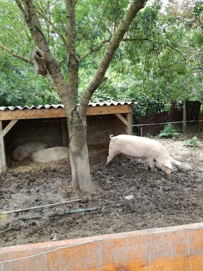 Activité : Ferme Pédagogique de Cinquante
