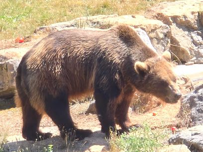 Activité : Parc Animalier de Gramat