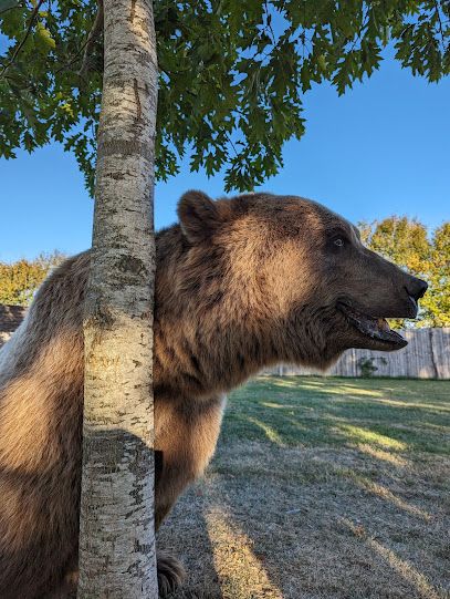 Activité : Parc animalier du Ségala