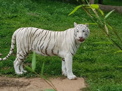 Activité : Parc Zoologique et Végetal de Trégomeur
