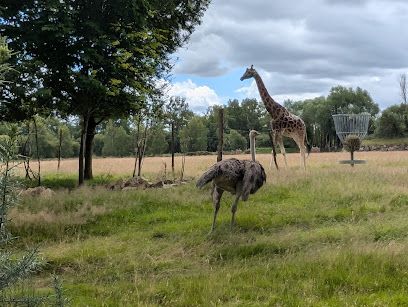 Activité : Parc Animalier de Branféré