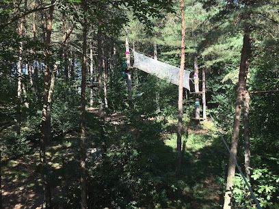 Activité : Aventure Parc