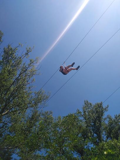 Photo : Forest Aventure