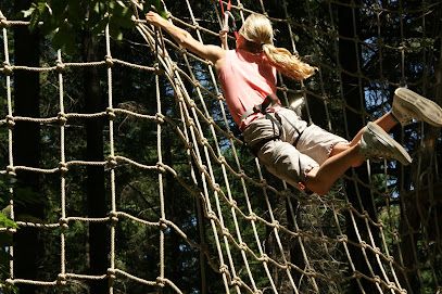 Activité : Accroche Toi Aux Branches | Jaujac (Aubenas)