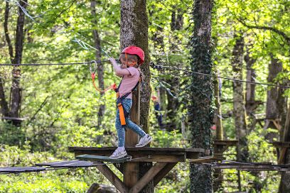 Activité : Aloa Nature Accrobranche