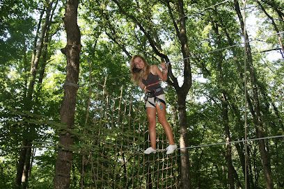 Activité : Happy Forest Parc accrobranche et parc animalier