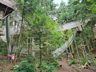 Activité : Clairvaux-les-lacs Aventure et Village des écureuils