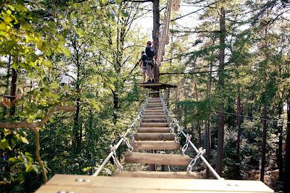Activité : Accrobranche Center Parcs Les Hauts de Bruyères