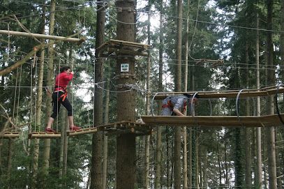 Photo : Acroforest