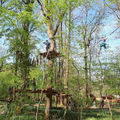 Activité : Forest Arena | Parc de loisirs IDF | Accrobranche 77