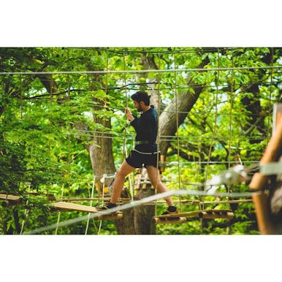 Activité : AccroCamp Saint-Germain-en-Laye | Accrobranche 78