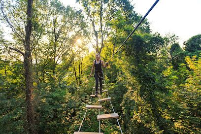 Activité : Ecopark Adventures Sannois | Accrobranche 95