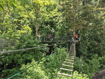 Activité : AccroCamp Rueil-Malmaison | Accrobranche 92