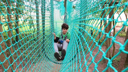 Activité : Jumping Forest, parc de loisirs et accrobranche